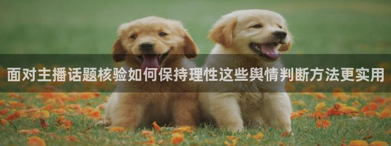 51吃瓜爆料导航