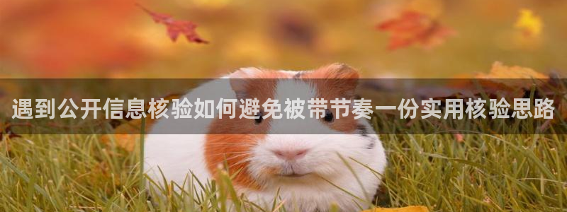网络热门资讯