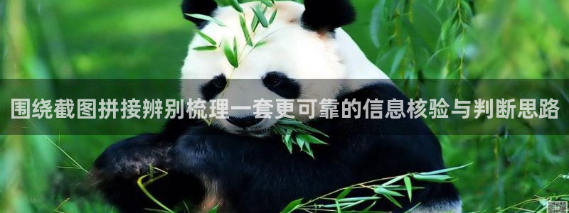51吃瓜网站入口