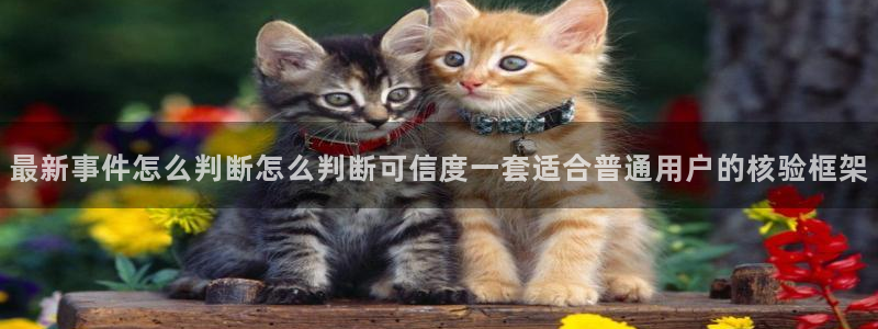 吃瓜热门事件