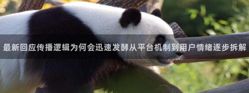 今日吃瓜热点