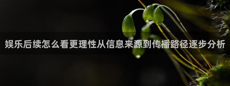 51吃瓜热点话题