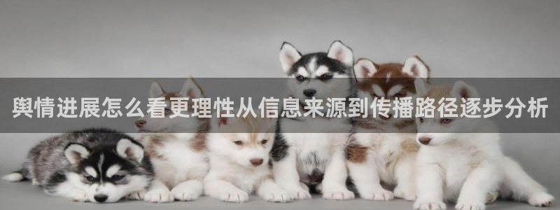 51吃瓜事件资讯