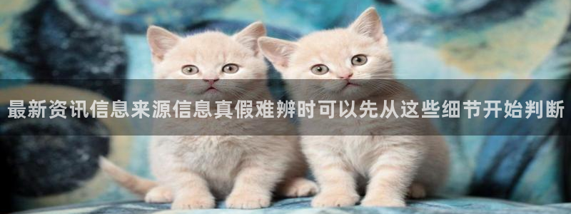 热门资讯大全